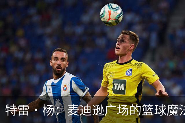 特雷·杨：麦迪逊广场的篮球魔法师，奇才有望逆袭尼克斯！